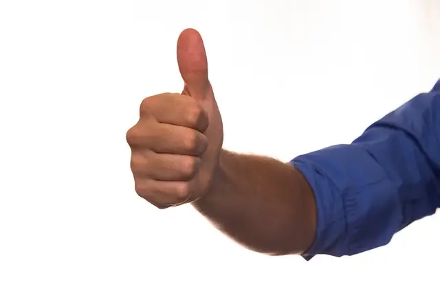 Two white paw prints on a transparent background.