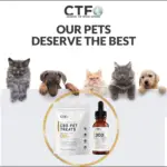 Pet care products from CTF for cats and dogs shown with four pets.