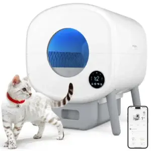 White cat near smart automatic litter box