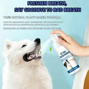 White dog being sprayed with pet oral freshener