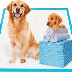 Golden retriever and puppy beside blue training pads