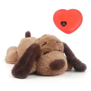 Floppy-eared brown stuffed dog with heart