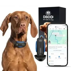 AI GPS Tracker for Dogs 30lbs+ - Real-Time Location