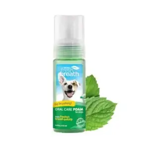 Mint-flavored dog oral foam bottle