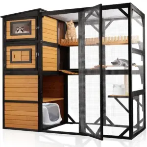 Wooden outdoor cat enclosure with three cats