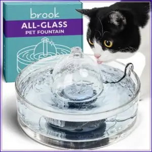 All-Glass Pet Fountain 90oz – Cat & Dog Water Dispenser