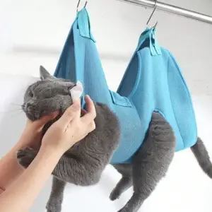 Gray cat in blue hanging sling