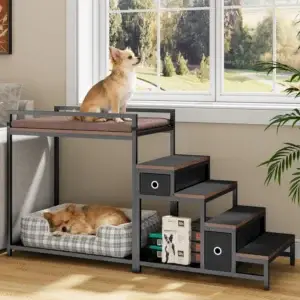 Two small dogs on raised pet bed