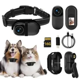 Dog and cat wearing small collar cameras