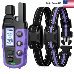 Remote training collar with adjustable straps included.