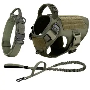 Olive green tactical dog harness and leash set.
